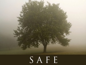 safe tree